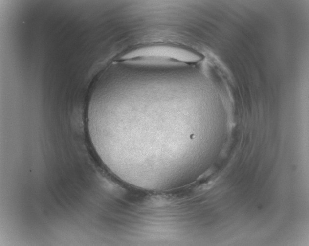 X0000068740489200605192349