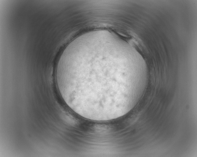 X0000068740490200605192349