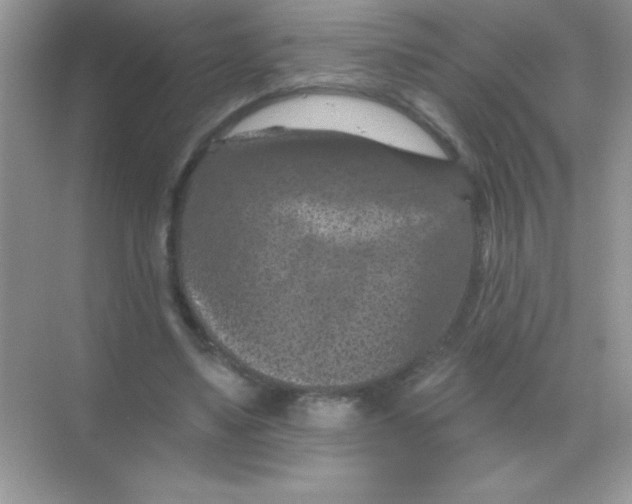 X0000068740491200605192349