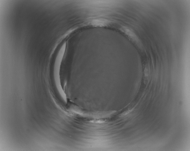 X0000068740492200605192349