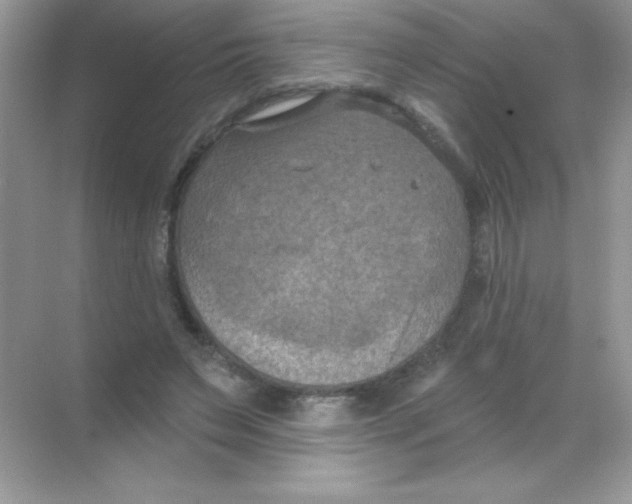 X0000068740495200605192349