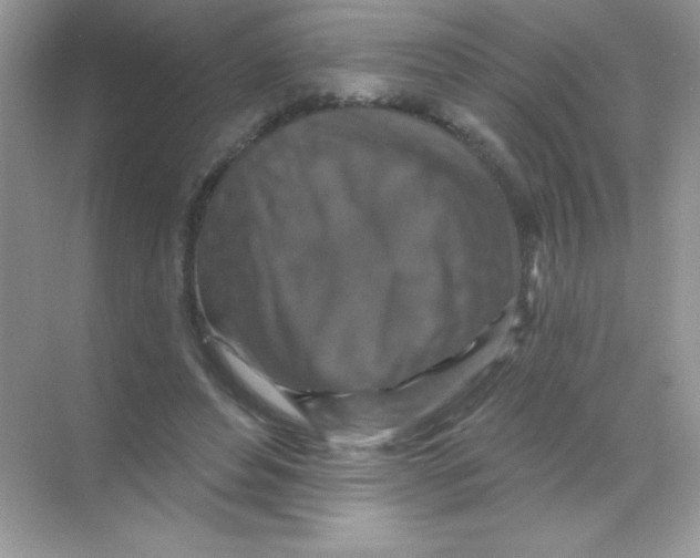 X0000068740496200605192349