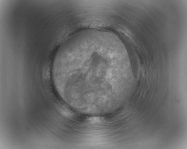 X0000068740499200605192349