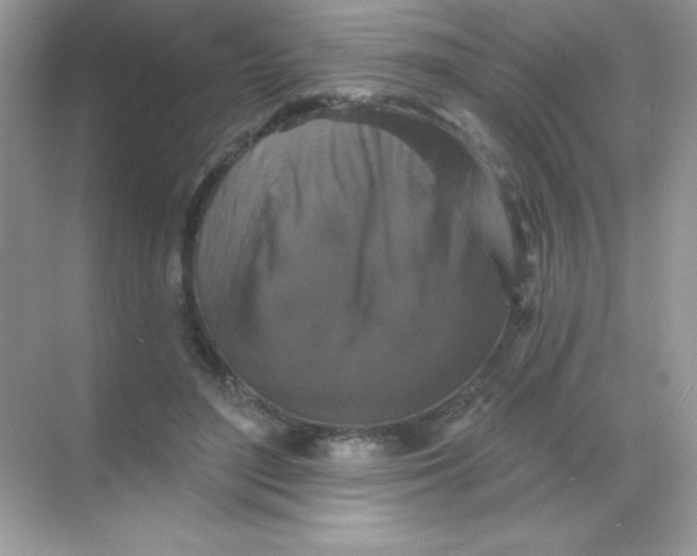 X0000068740500200605192348