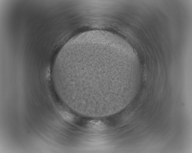 X0000068740502200605192348