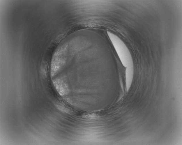 X0000068740503200605192348