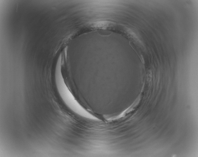 X0000068740504200605192348