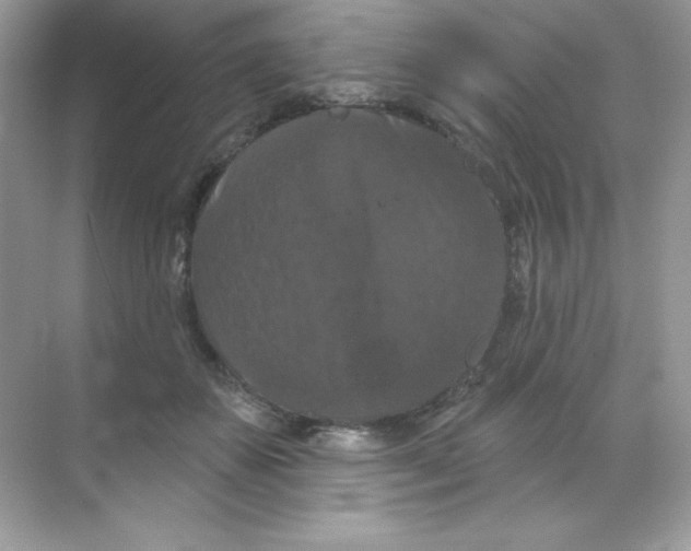 X0000068740507200605192348