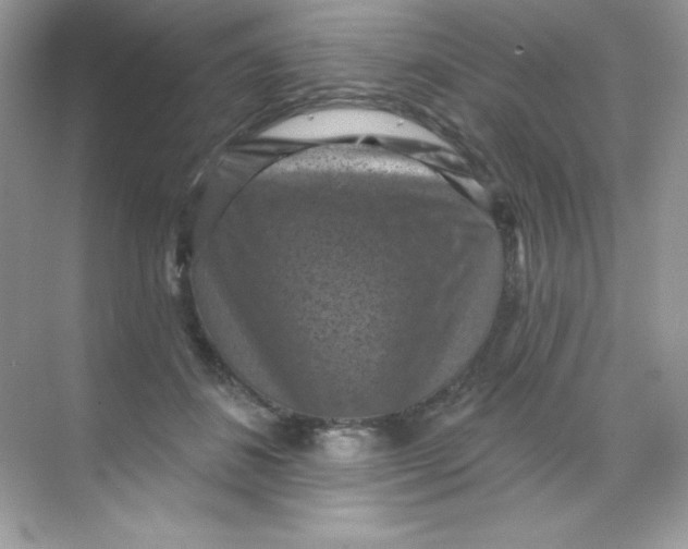 X0000068740508200605192348