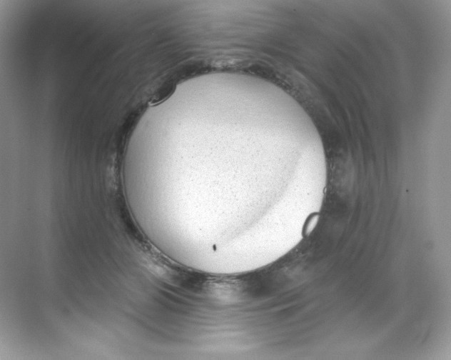 X0000068740510200605192348