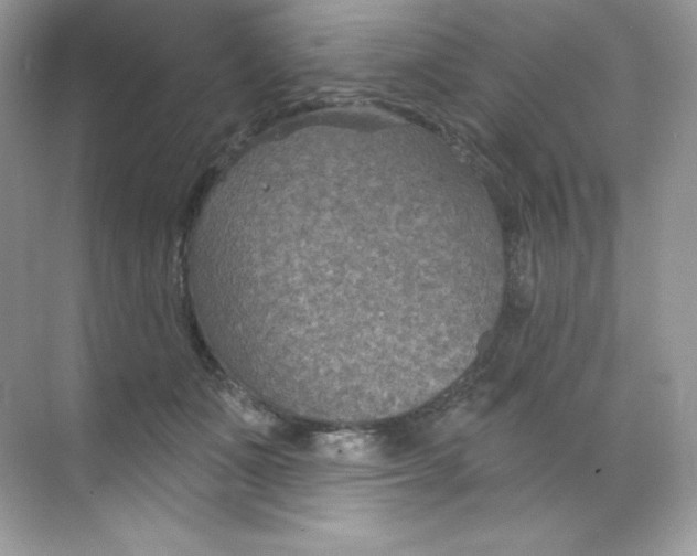 X0000068740511200605192348