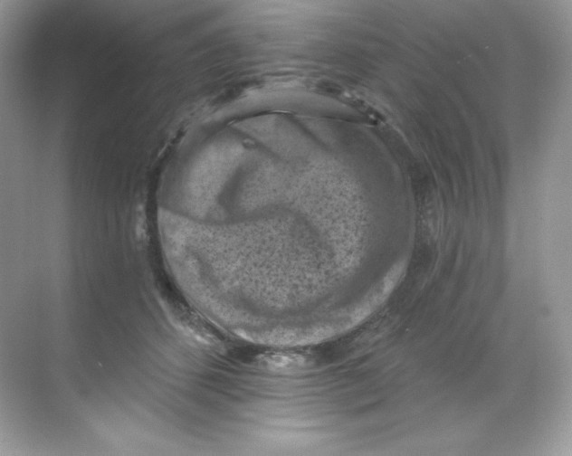 X0000068740512200605192348