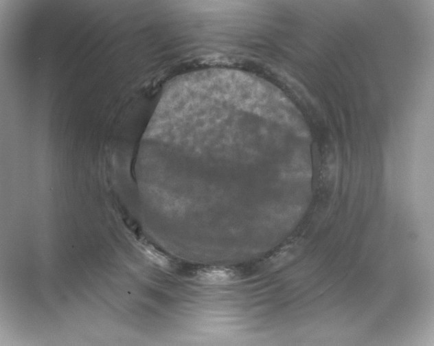 X0000068740513200605192348