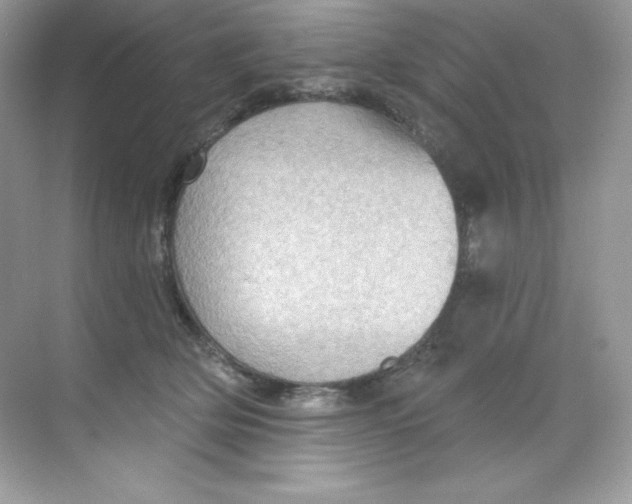 X0000068740514200605192348