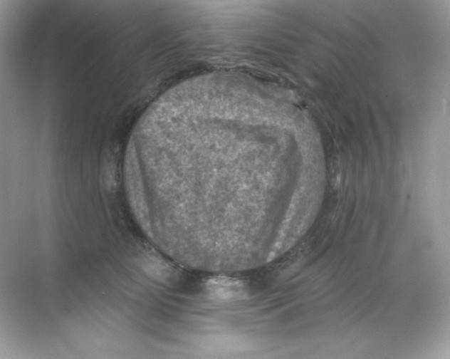 X0000068740515200605192348