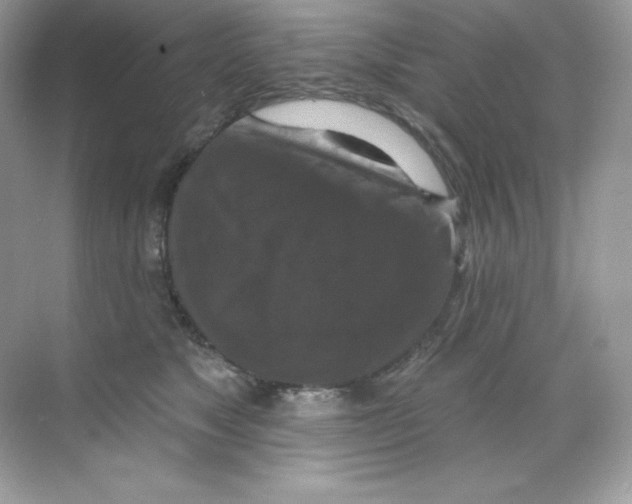 X0000068740517200605192348