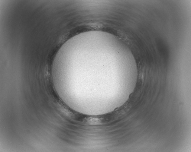 X0000068740518200605192348