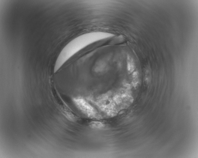 X0000068740519200605192348