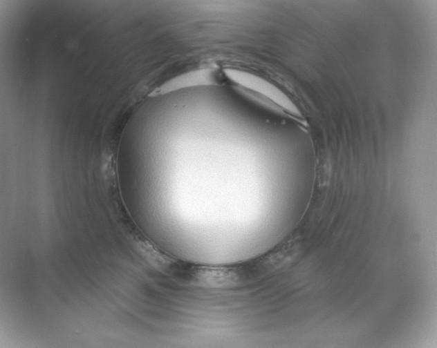 X0000068740521200605192348