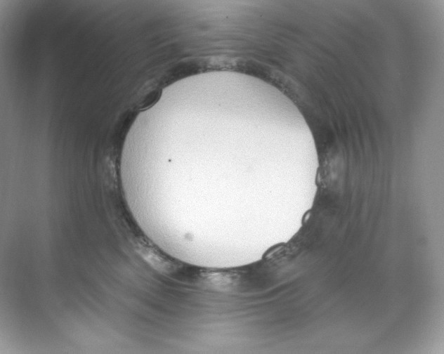 X0000068740522200605192348