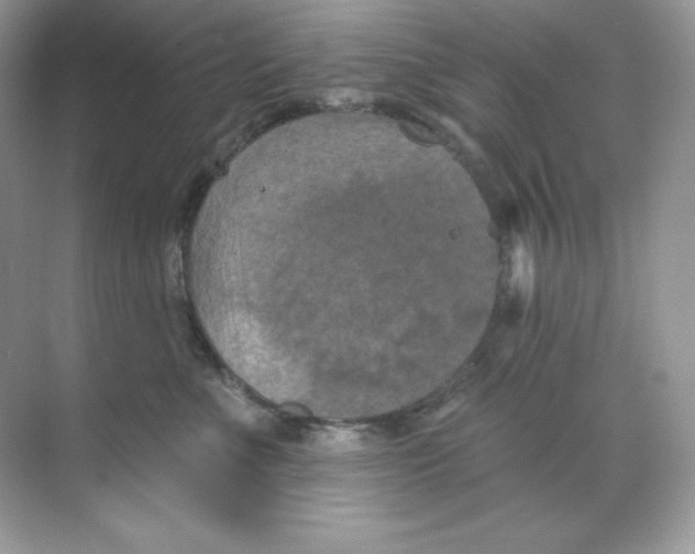 X0000068740523200605192348