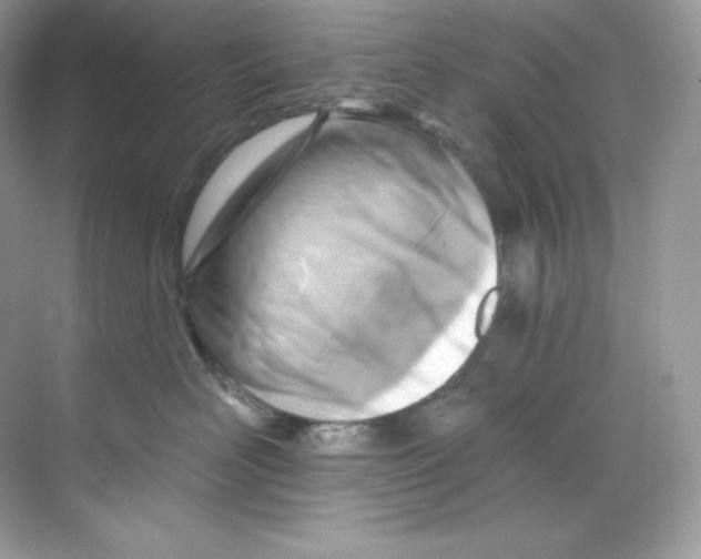 X0000068740526200605192348