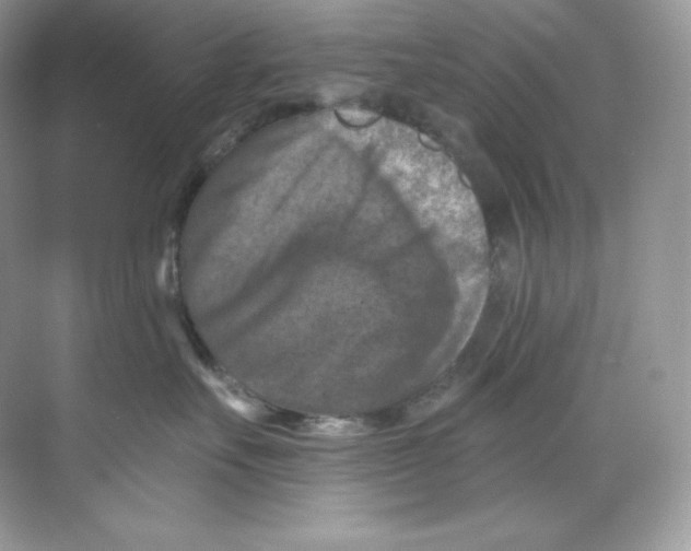 X0000068740527200605192348