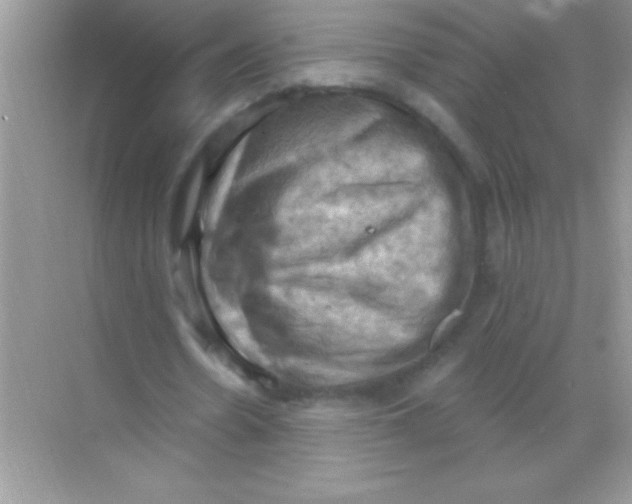 X0000068740530200605192347