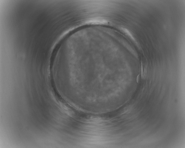 X0000068740531200605192347