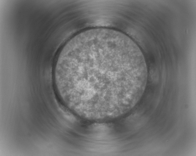 X0000068740534200605192347