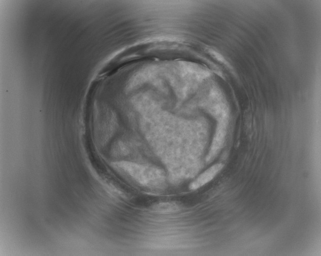 X0000068740536200605192347