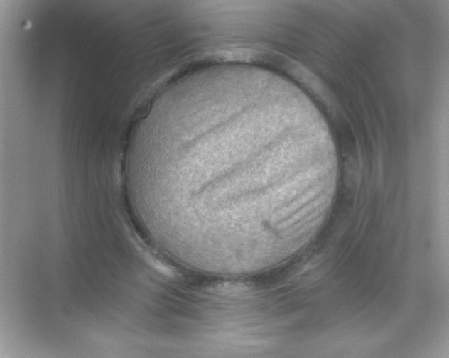 X0000068740537200605192347