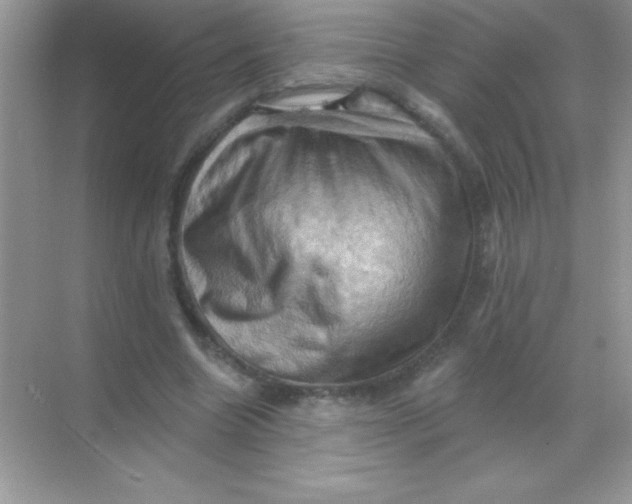 X0000068740538200605192347