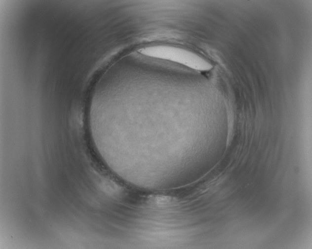 X0000068740539200605192347