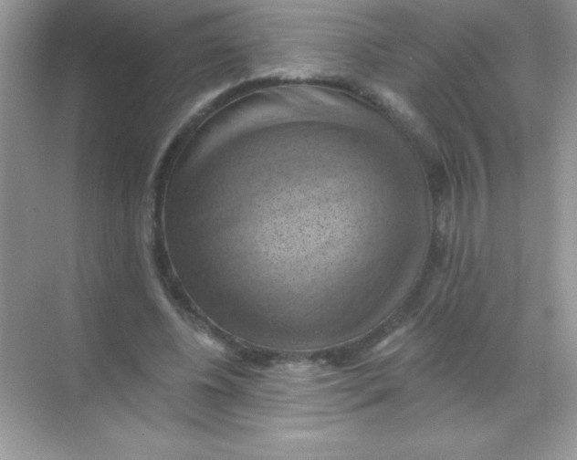 X0000068740540200605192347