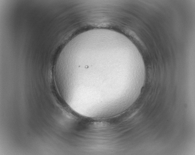 X0000068740541200605192347