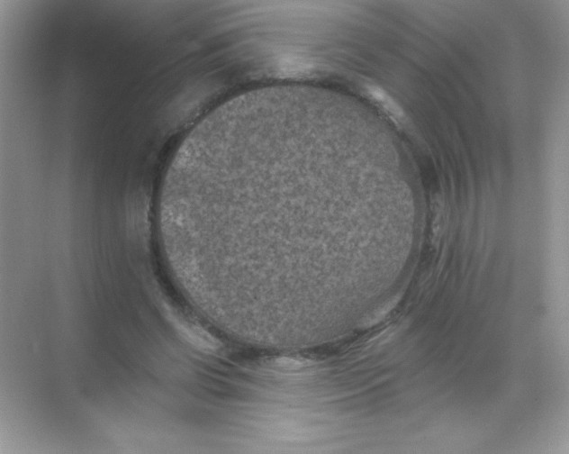 X0000068740542200605192347