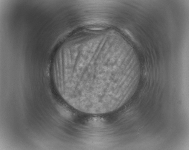 X0000068740543200605192347