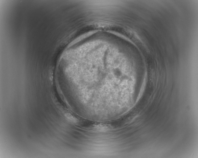 X0000068740545200605192347