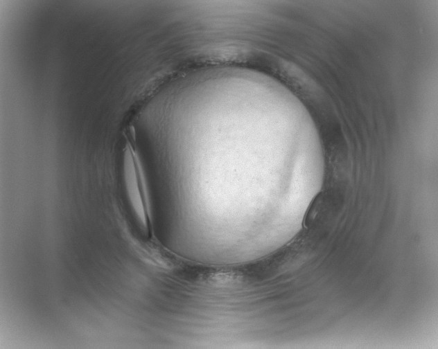 X0000068740546200605192347