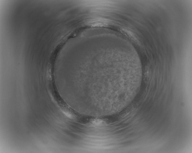 X0000068740547200605192348