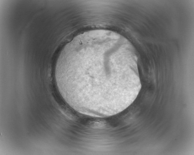 X0000068740548200605192348