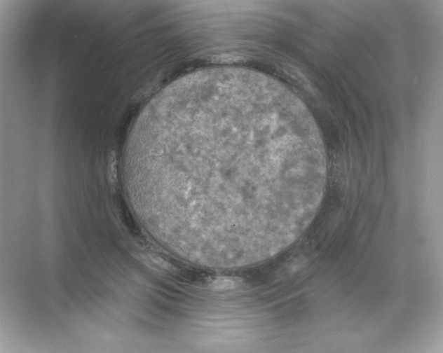 X0000068740549200605192348