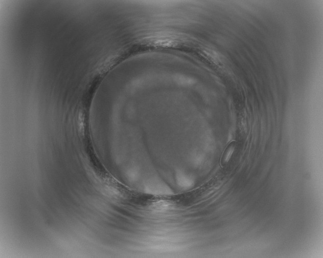 X0000068740551200605192348