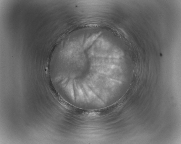 X0000068740553200605192348