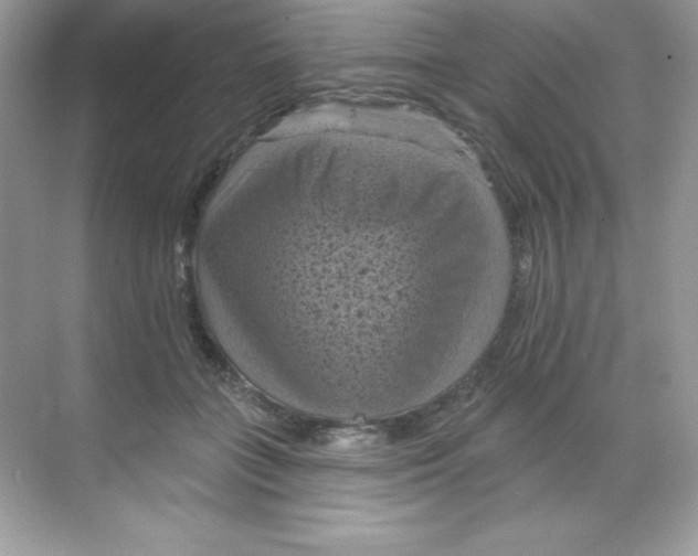 X0000068740555200605192348