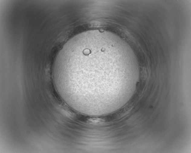 X0000068740557200605192348