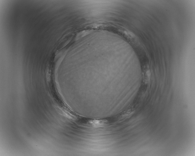 X0000068740558200605192348