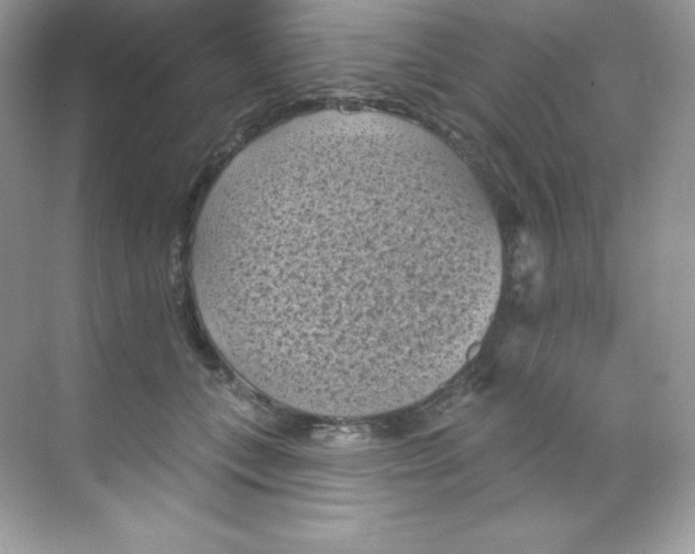 X0000068740559200605192348