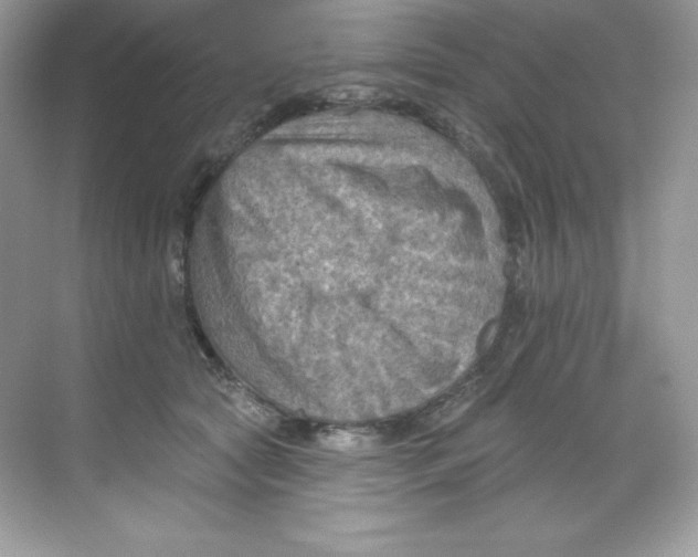 X0000068740561200605192348